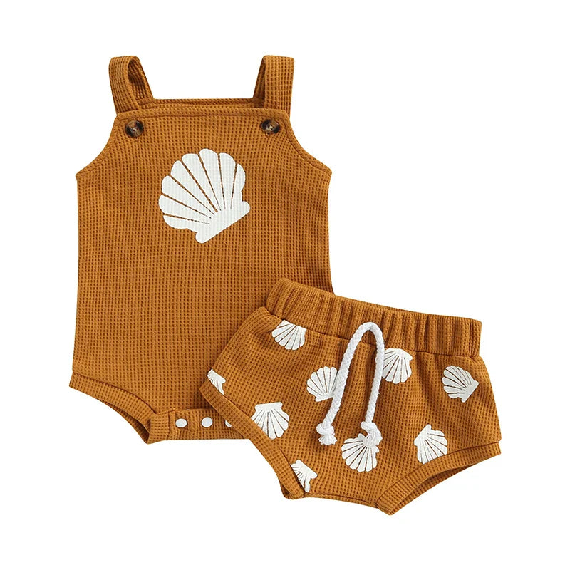 Seashell Set